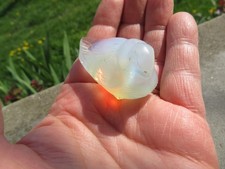 Sabino oiseau opalescent (3)