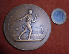 Médaille NICE Bronze Joli