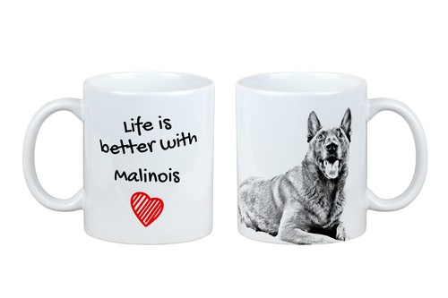 Malinois chien berger - malinois, belge