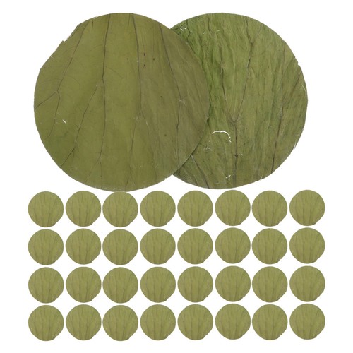 100 pcs assiette sushi à - assiette,