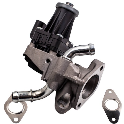 Vanne egr for citroen - for,