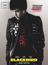 Affiche 120 160 blackbird - x,