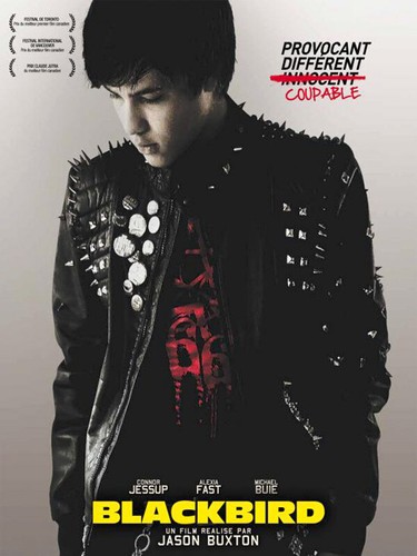 Affiche 120 160 blackbird - x,