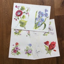 3 Gravures Anciennes Aquarellées Fleurs XIXème