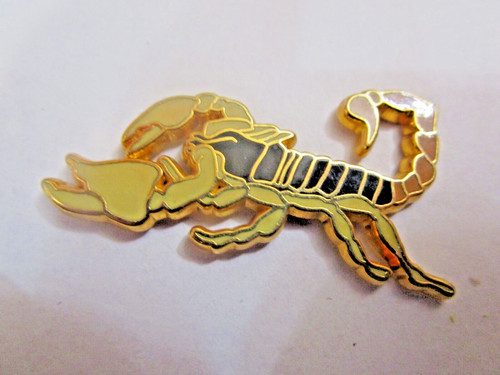 Big pin insecte - insecte,