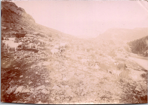 Frontière italie col - frontière,