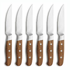 Comas Steak Knives Aconcagua
