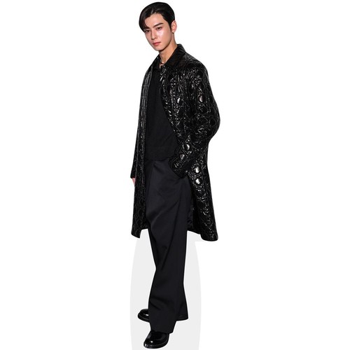 Cha eun woo - cha, outfit)