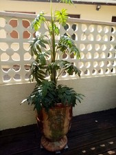 PLANTE ARTIFICIELLE MONSTERA DELICIOSA EN  POT HAUT 140 CM AVEC  26 FEUILLES