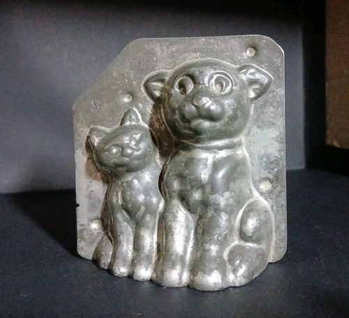 Chien chat g - chien, mora