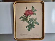 Ancien tableau feuille rose