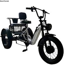 20" Tricycle électrique 500W