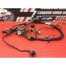 Faisceau électrique