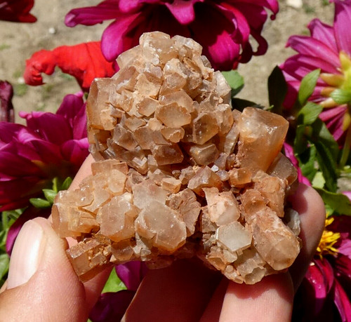 Aragonite rouge blanche - &,