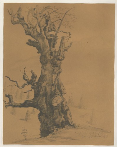 Dessin original crayon franz - original,