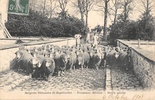 CPA 78 BERGERIES NATIONALES DE