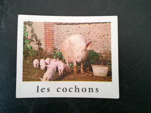 Carte jeu societe ancien - carte,