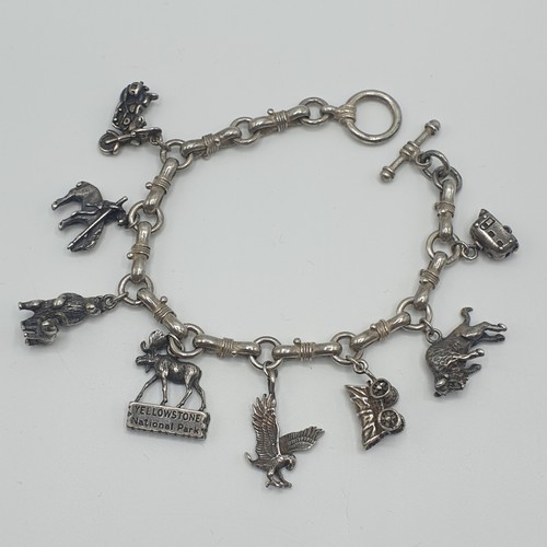 Bracelet charms américain - bracelet,