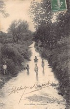 Algérie - ARBA - La rivière