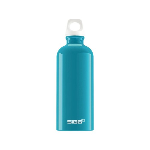 Gourde sigg traveller 6 - gourde, 0.6