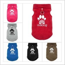 Pull Hiver Chien Animal De