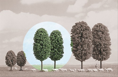 Arbres feuillus busch - feuillus,