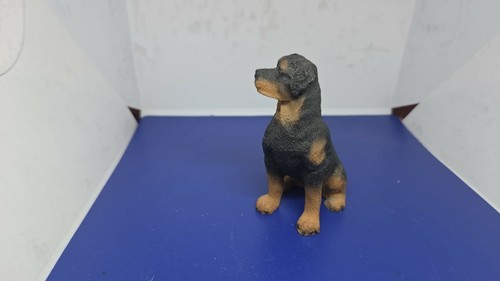 Collection atlas chien - , (14)