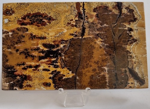 Large picture jasper slab - large, w/