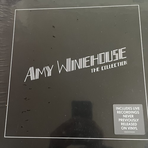 Amy winehouse the - amy,