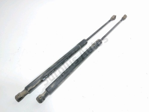 Verin hayon 844308661r renault - hayon,