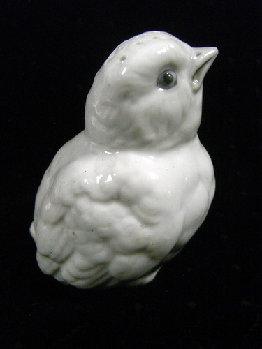 Oiseau blanc - 🇫🇷,