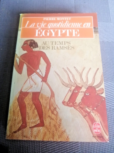 Pierre montet la vie - pierre,
