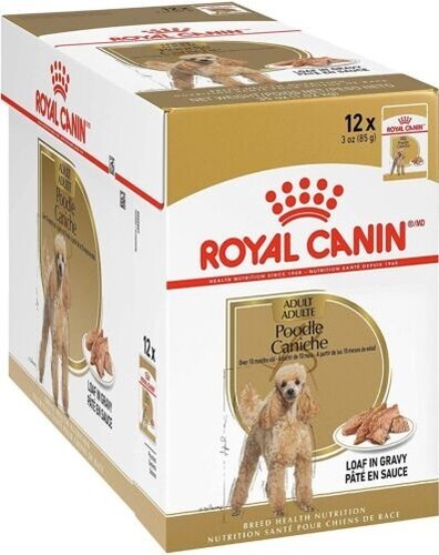 Royal canin caniche - caniche, adulte
