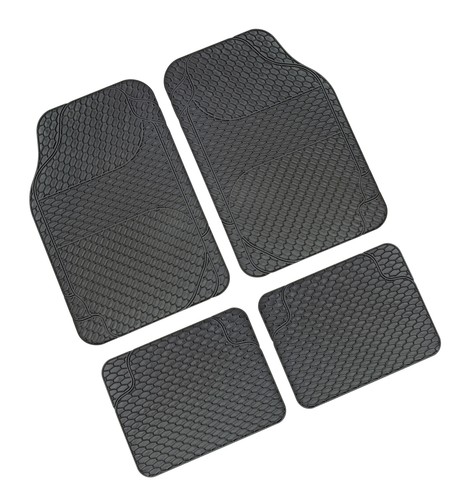 Bactéries fosse - ,bactéries,