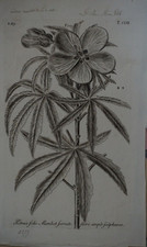 GRAVURE FIN XVII° PLANCHE