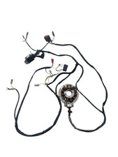 STATOR D'ALLUMAGE GAS GAS