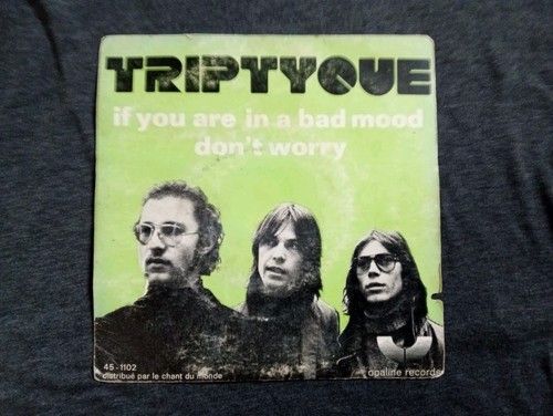 Tryptique you are in a - ,