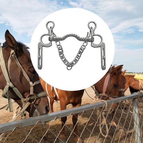 Mors cheval à - de,