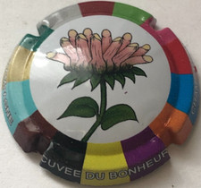 Capsule de champagne