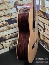 Karl Hofner Classic Series