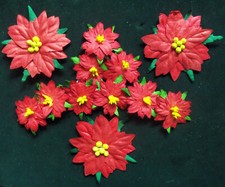 Lot de 12 poinsettias rouge en