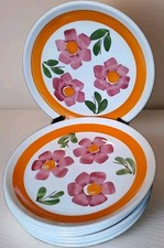 7 Assiettes plates Vintage
