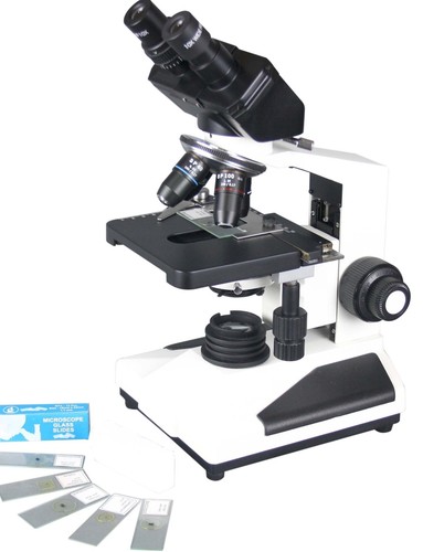Microscope binoculaire