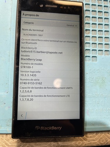 Blackberry leap bloque - blackberry,