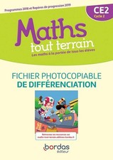Maths tout terrain CE2: Fichier de différenciation