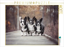CALVENDO Puzzle Welsh Corgi