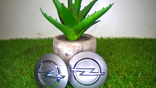 Logo opel - logo,