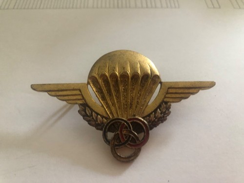 Brevet moniteur parachutiste