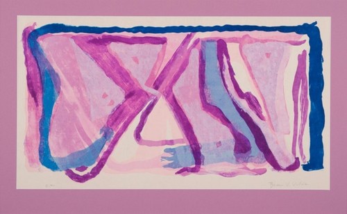 Peintre néerlandais bram van - peintre,