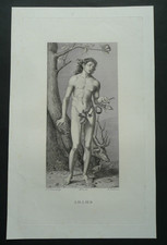 Ancienne GRAVURE XIXe S. sur